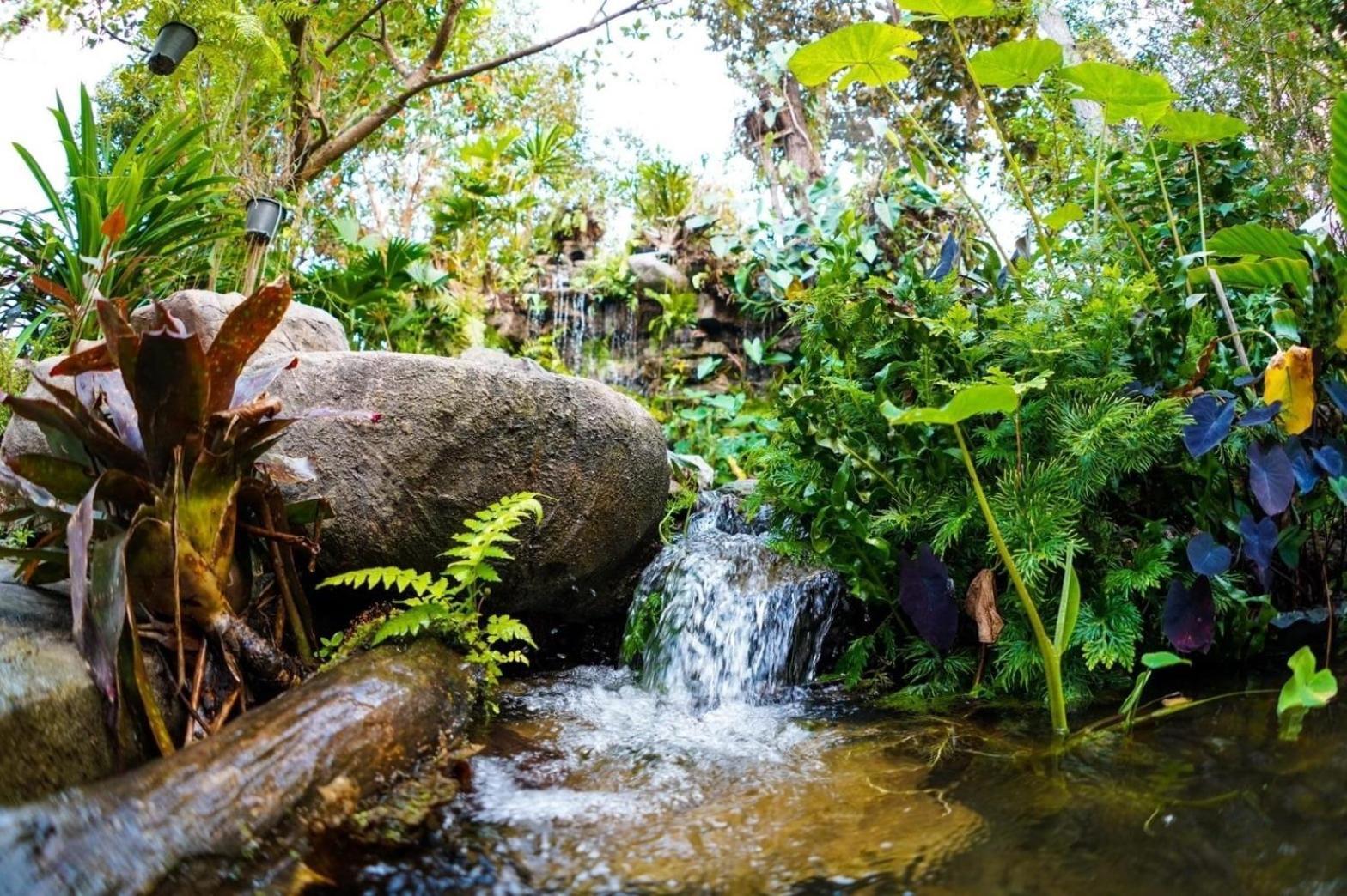 Baan Pingkan Wellness Resort San Kamphaeng Exteriér fotografie