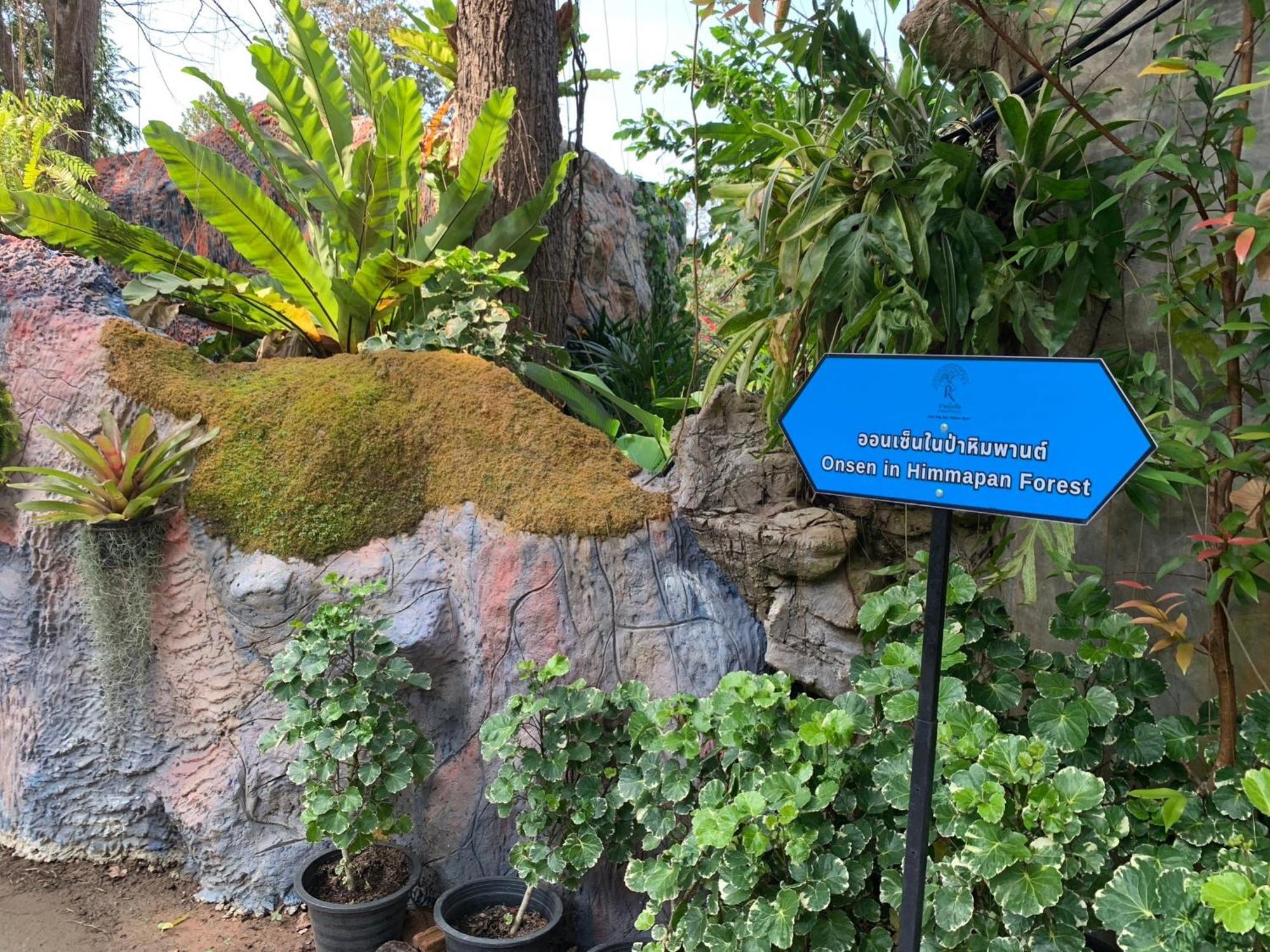 Baan Pingkan Wellness Resort San Kamphaeng Exteriér fotografie
